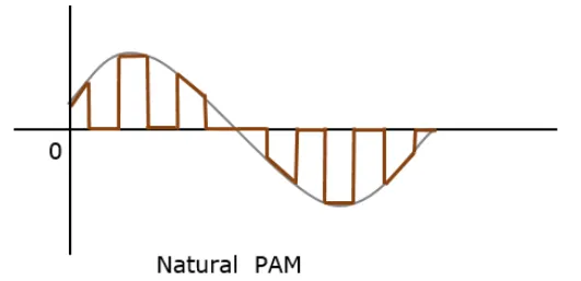 natural_pam